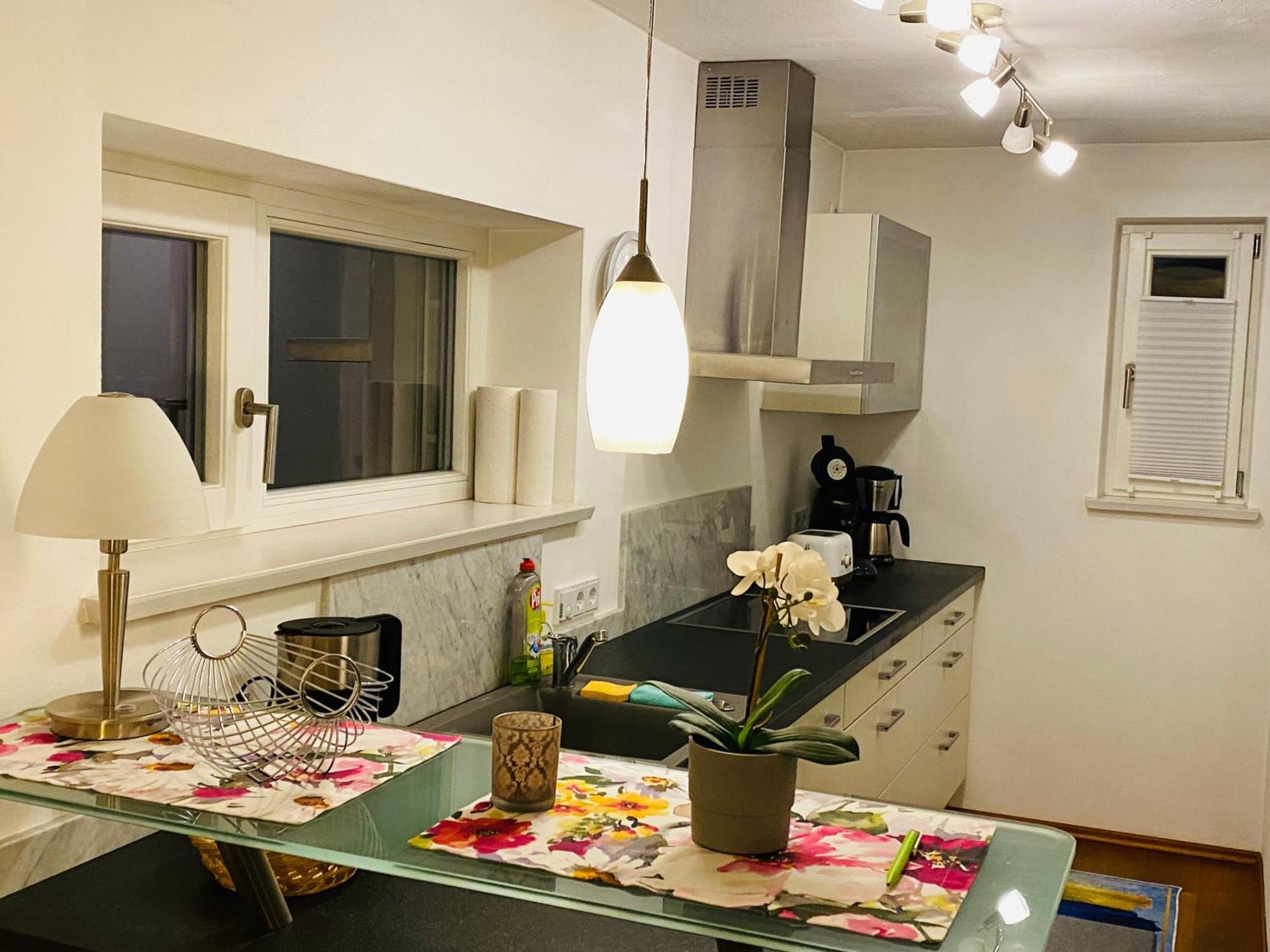 Fewo Luxus Wohnung Im Eigenen Ferienhaus, 120 Qm, Naehe Regensburg Mit Balkon, Terrasse & Garten, Gute Zuganbindung Laber 外观 照片